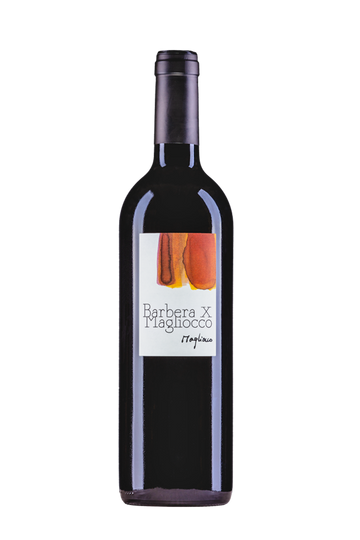 Barbera X Magliocco Vin rouge Suisse Magliocco 2023