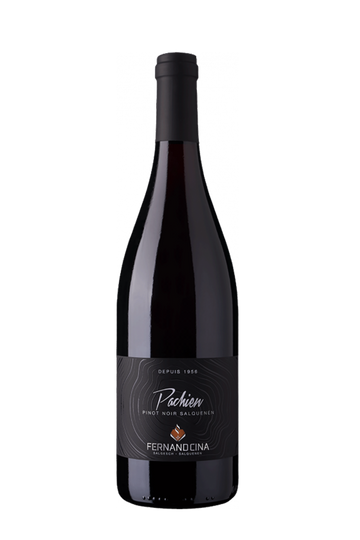 Pachien " Pinot Noir de Salquenen" AOC Valais Fernand Cina SA Salgesch 2024