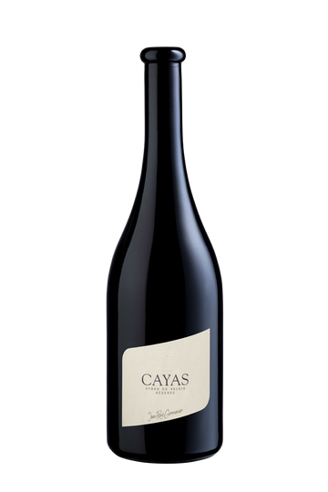 Cayas Syrah AOC Valais Jean René Germanier SA Vétroz