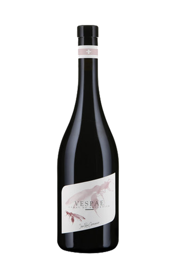 VESPAE Gamay AOC Valais Jean René Germanier SA Vétroz