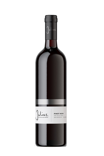 Pinot Noir AOC Valais Pierre-Alain Mathier, Vins et Vignobles Julius