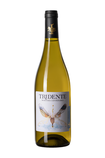 Tridente Malvasia Centenaria V.T. Familie Gil