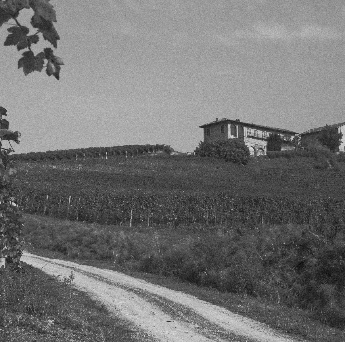 Prunotto