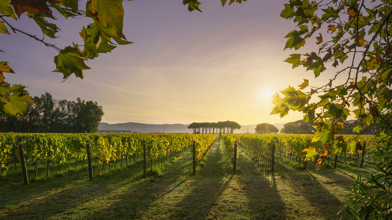 Italien