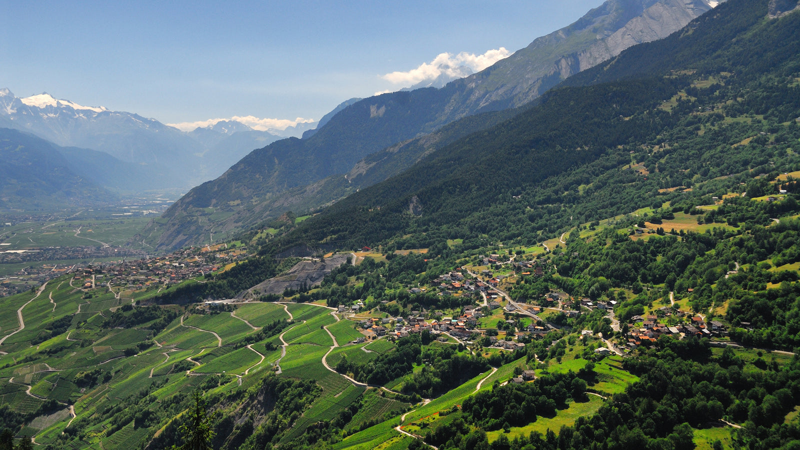 Wallis