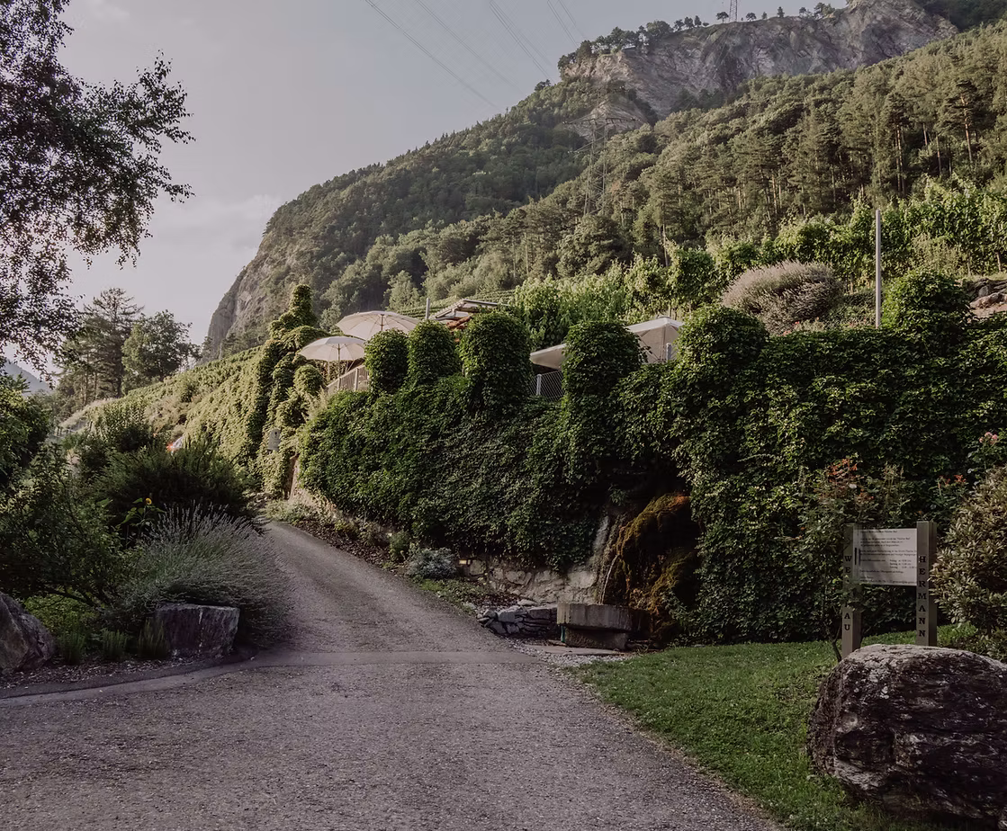 Weingut Roman Hermann