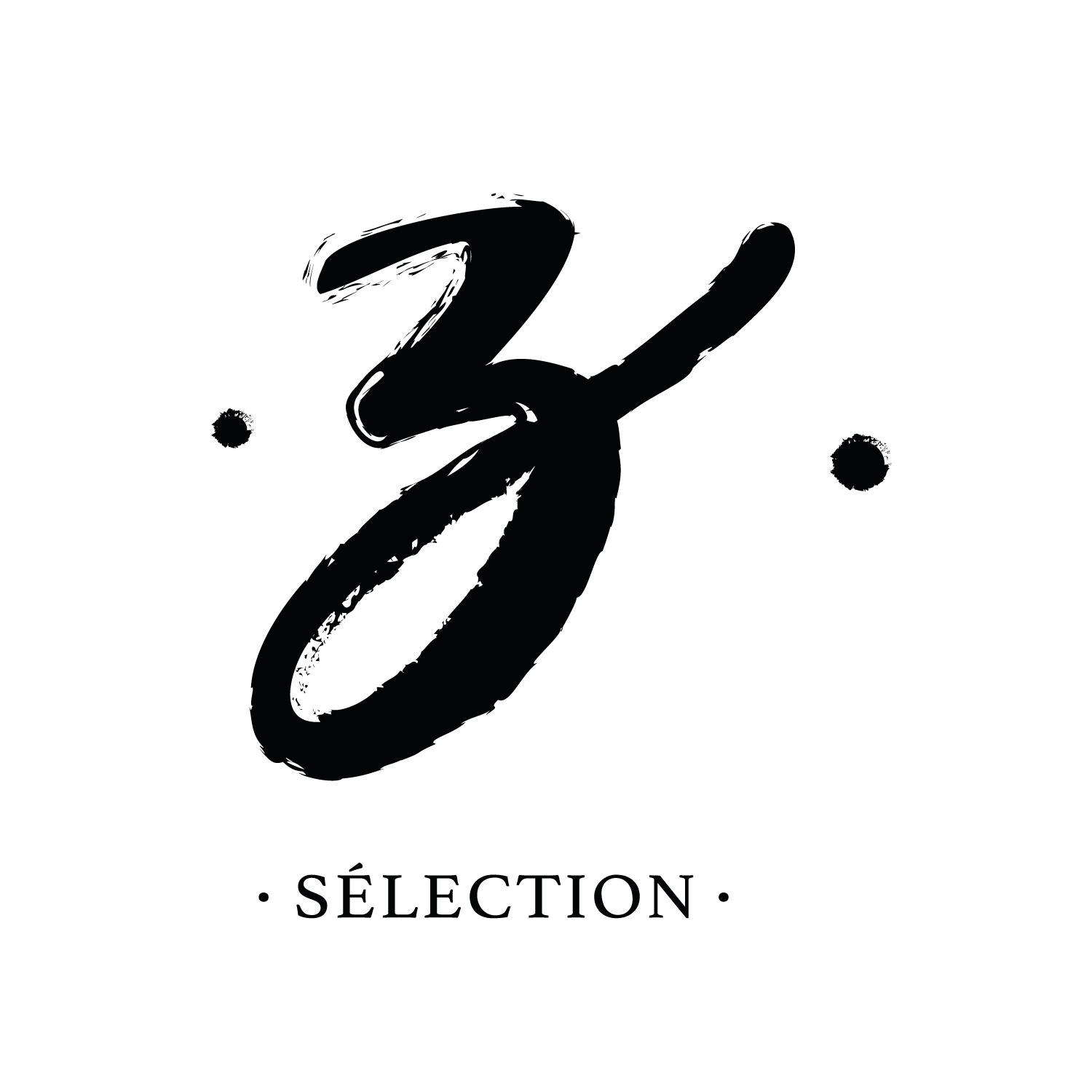 Z-Vins-Ludovic-Zermatten