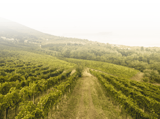 Colli Euganei