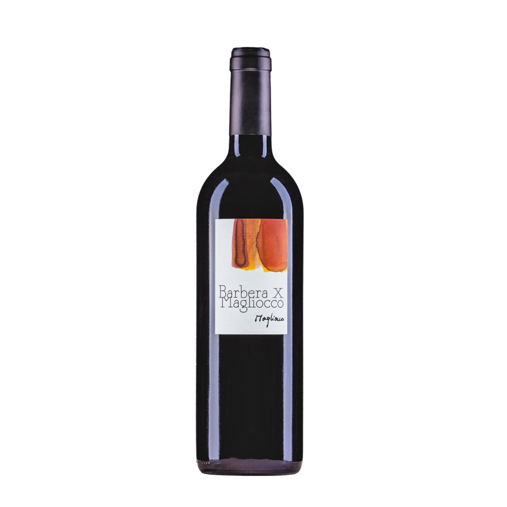 Barbera X Magliocco Vin rouge Suisse Magliocco 2023