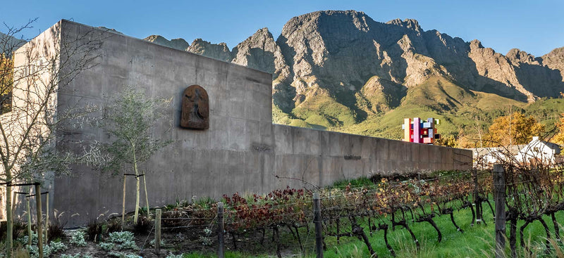 Vineyard 1