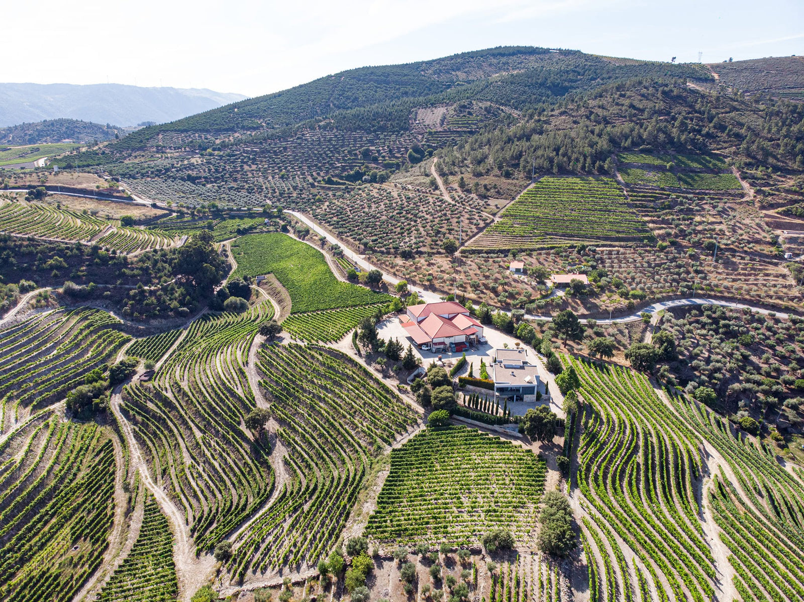 Bafarela Reserva Vinho Tinto Douro DOC