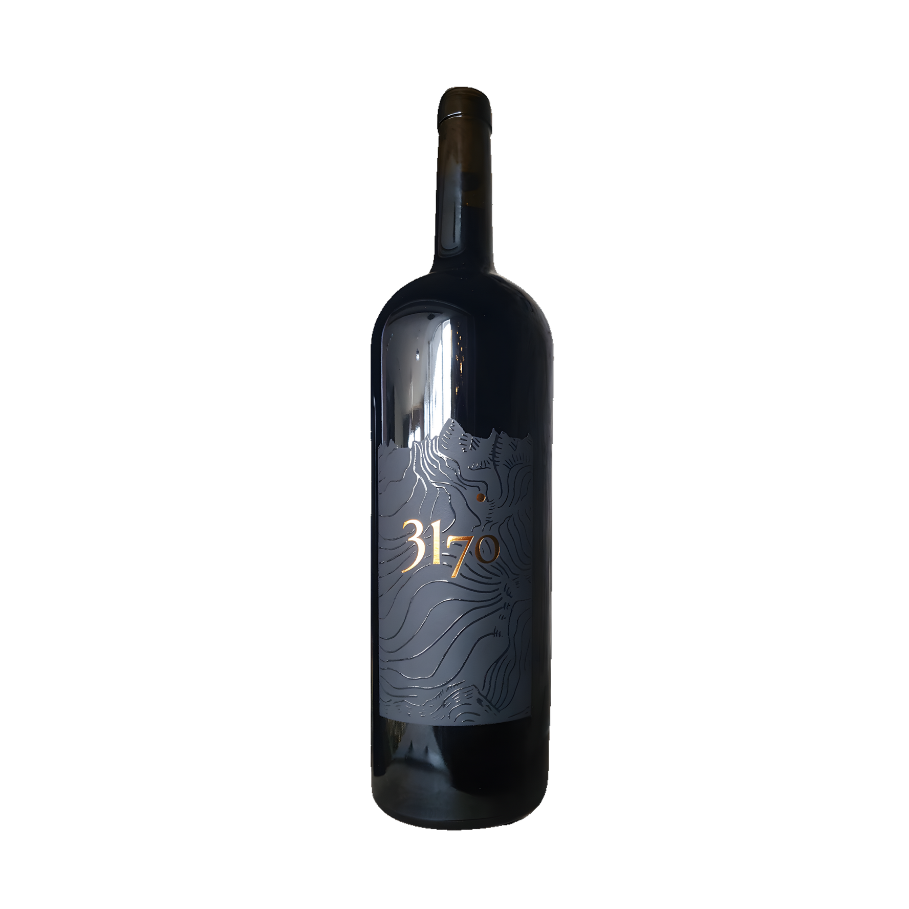 Cuvée 3170 Magnum Assemblage Fût de Chêne - AOC Valais Cordonier & Lamon SA