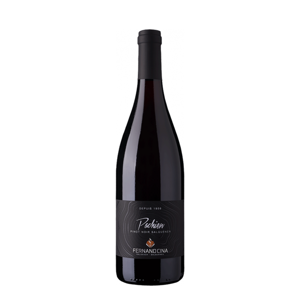 Pachien " Pinot Noir de Salquenen" AOC Valais Fernand Cina SA Salgesch 2024
