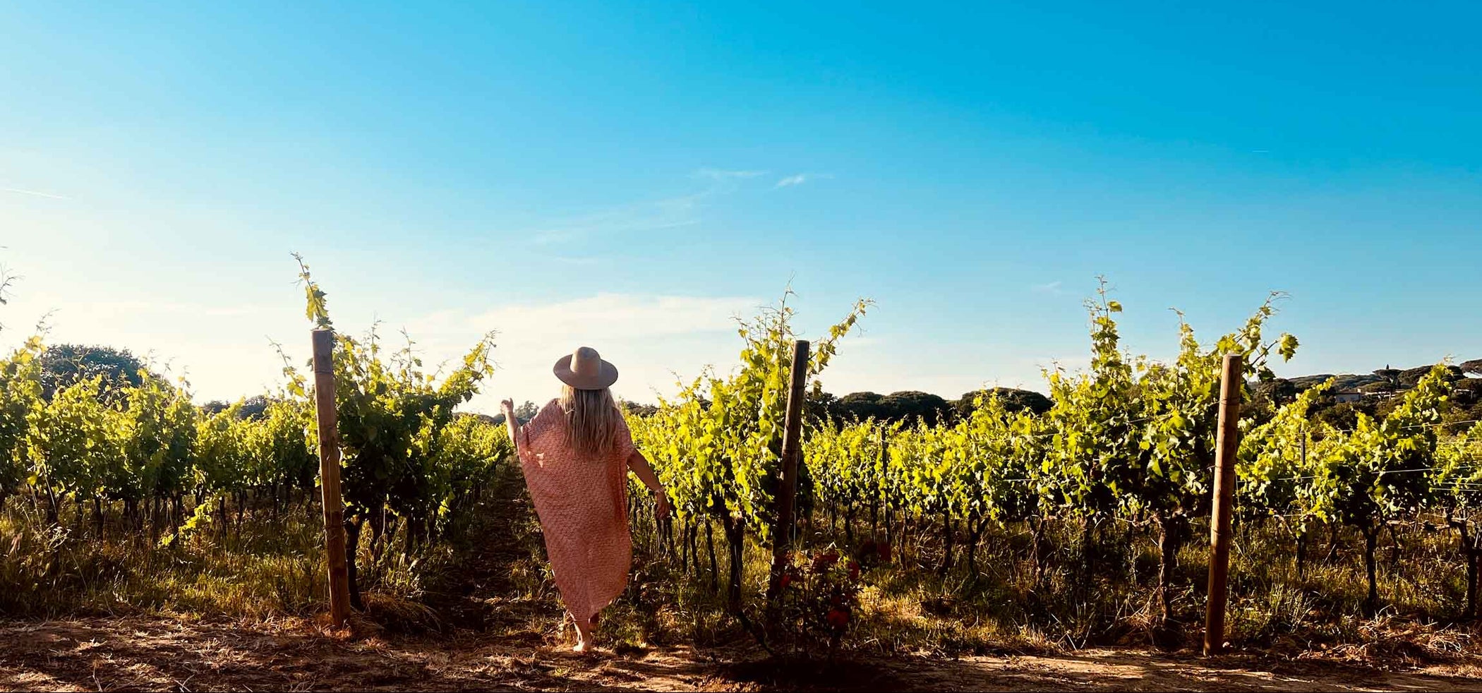 La vie en Rosé