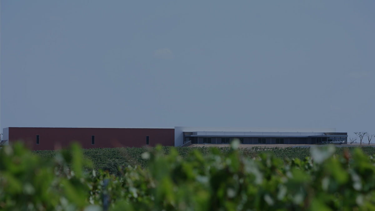 Weingut und Weinberge von Herdade das Mouras de Arraiolos