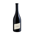 Cayas Syrah AOC Valais Jean René Germanier SA Vétroz
