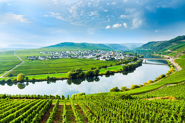 Maienfeld Riesling-Silvaner Graubünden AOC Komminoth
