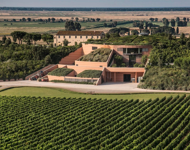 Marchesi Antinori