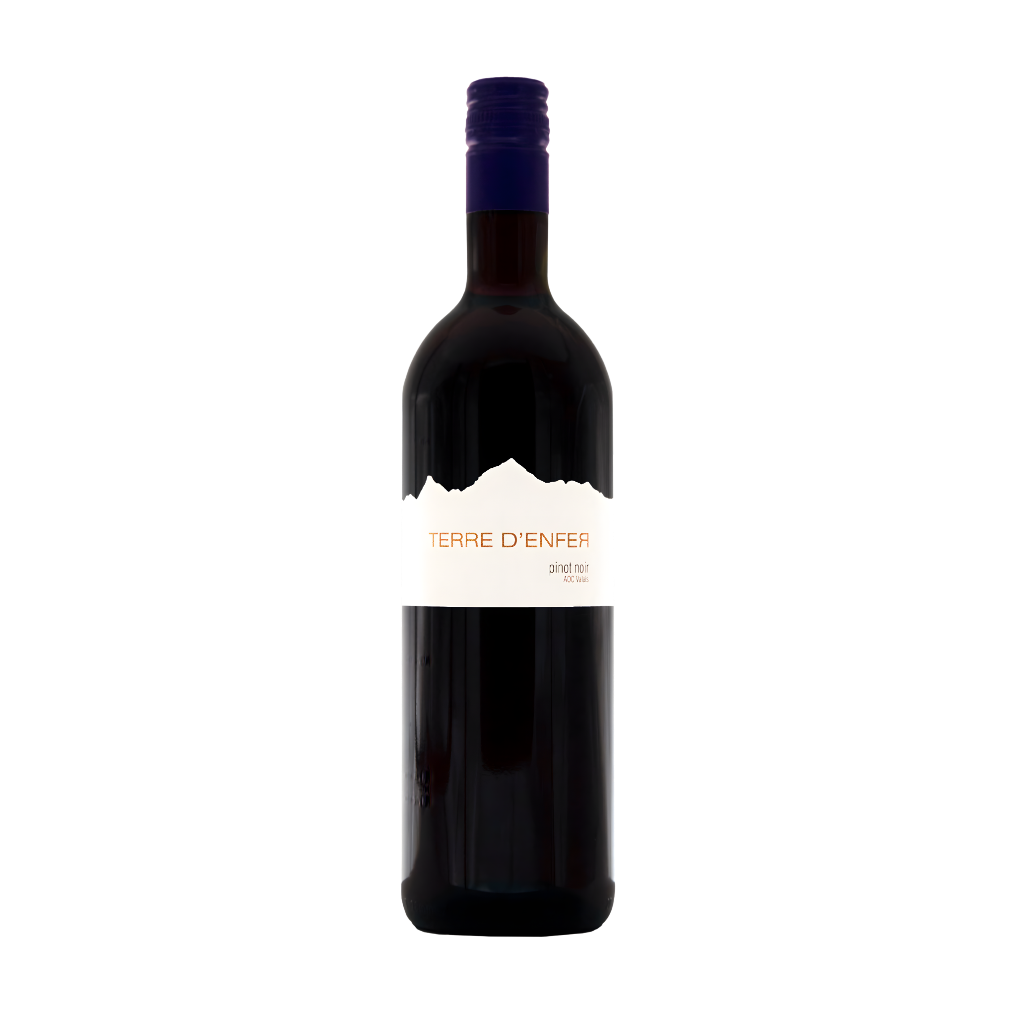 Pinot Noir "Terre d'Enfer" AOC Valais Cordonier & Lamon SA