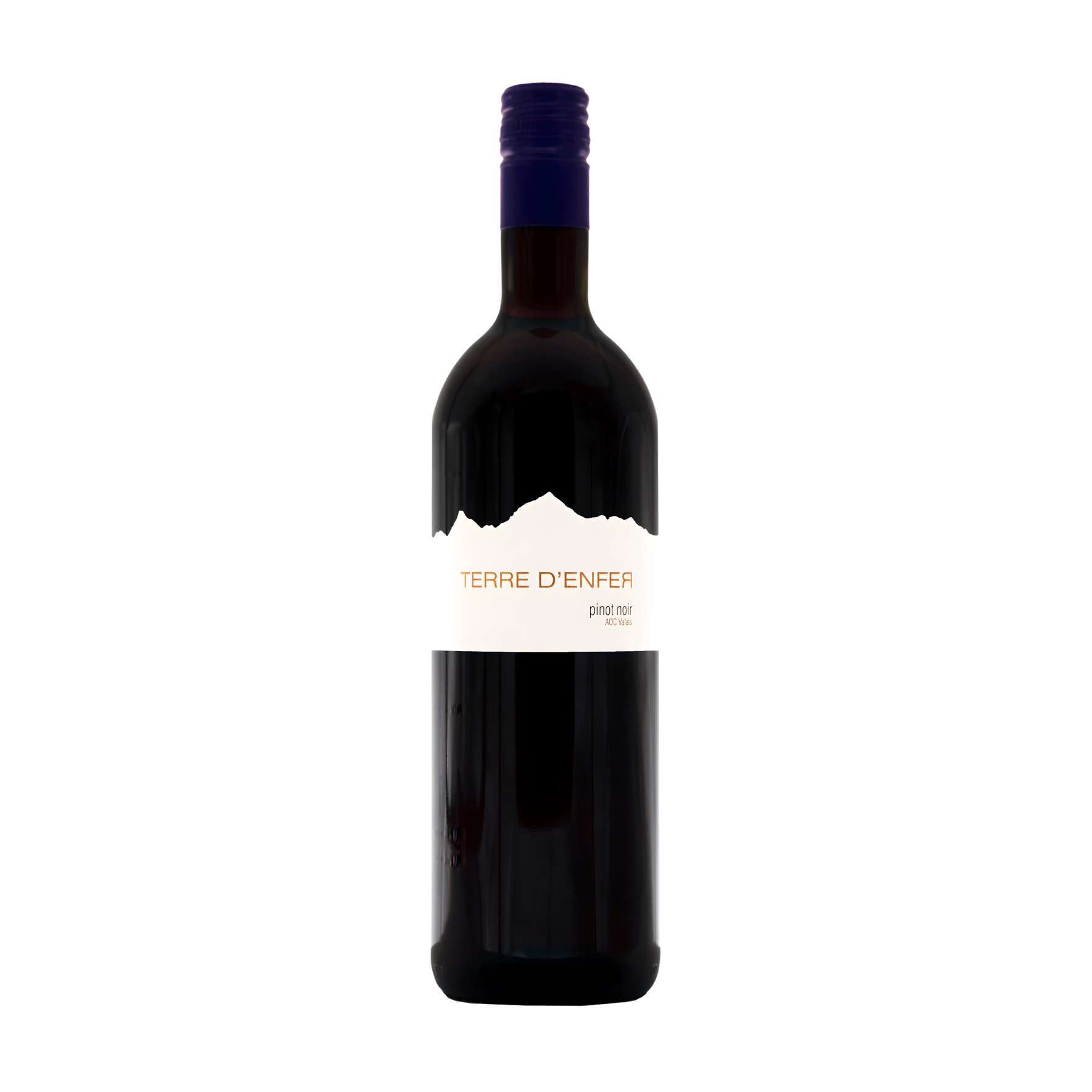 Pinot Noir "Terre d'Enfer" AOC Valais Cordonier & Lamon SA