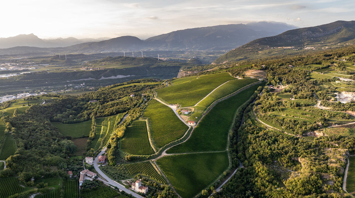 Weingut und Weinberge von Zenato
