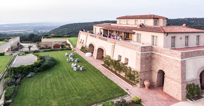 Vineyard 1