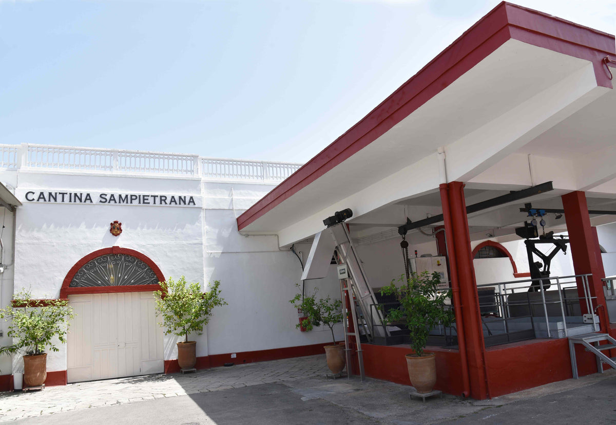 Weingut und Weinberge von Cantina Sampietrana