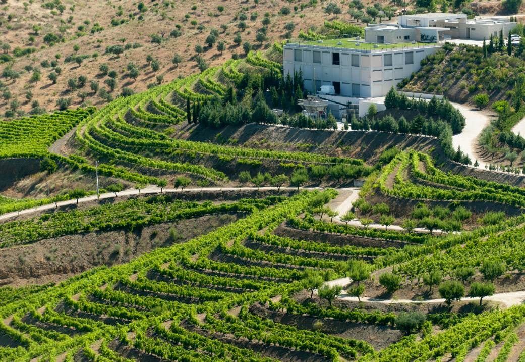 Weingut und Weinberge von Casa Ferreirinha