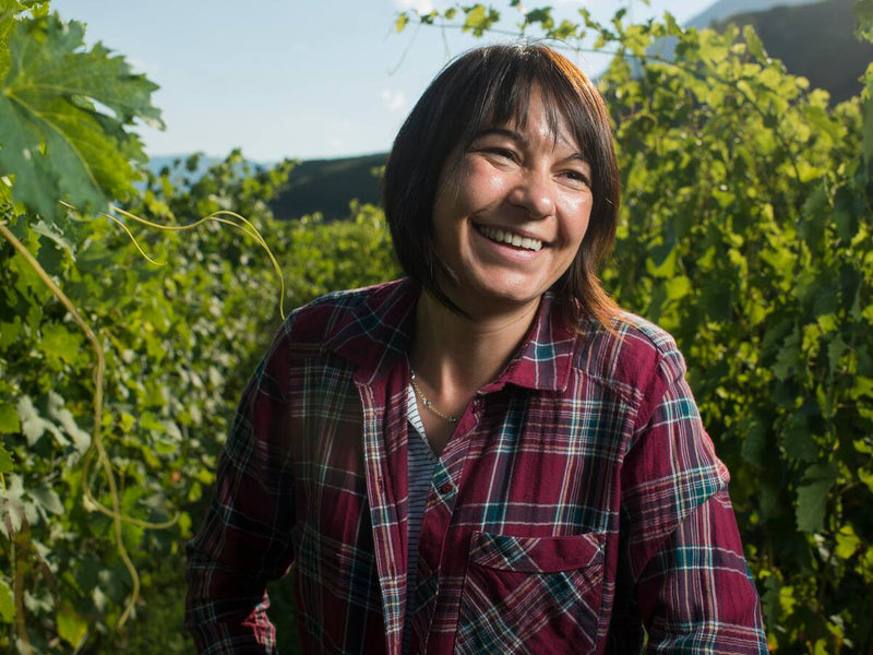 Vineyard 1