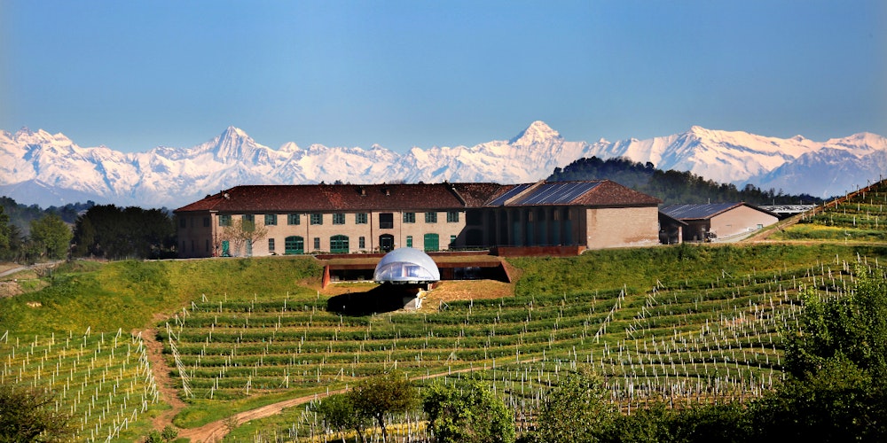 Monsordo Rosso Langhe DOC BIO Azienda Vinicole Ceretto