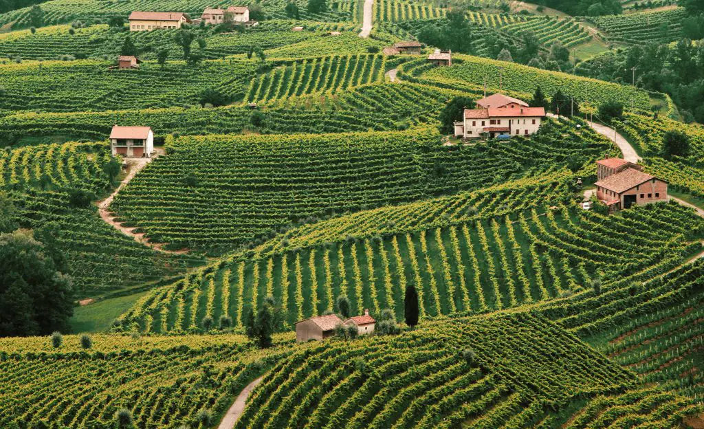 Spumante Cuvee Extra Dry "prodotto in Italia" De Bernard