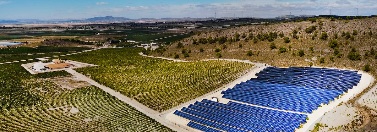 Honoro Vera Garnacha DO