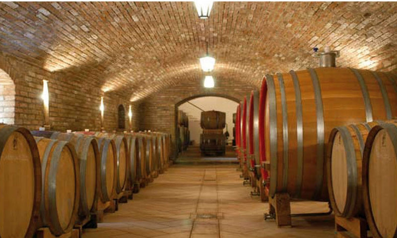 Vineyard 1