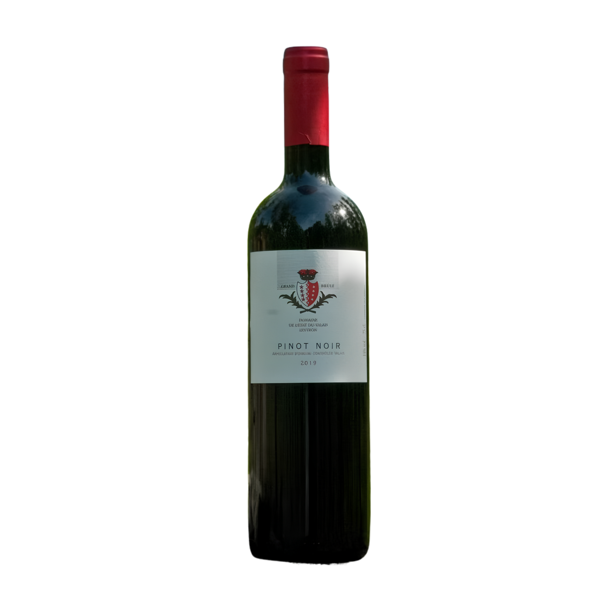 Pinot Noir AOC Valais Domaine Grand Brûlé 2024