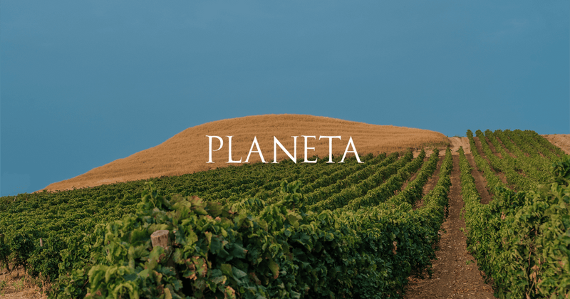 Vineyard 1