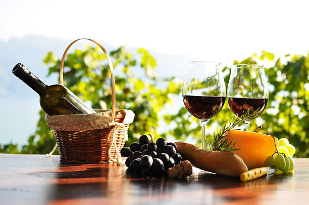 Vineyard 1