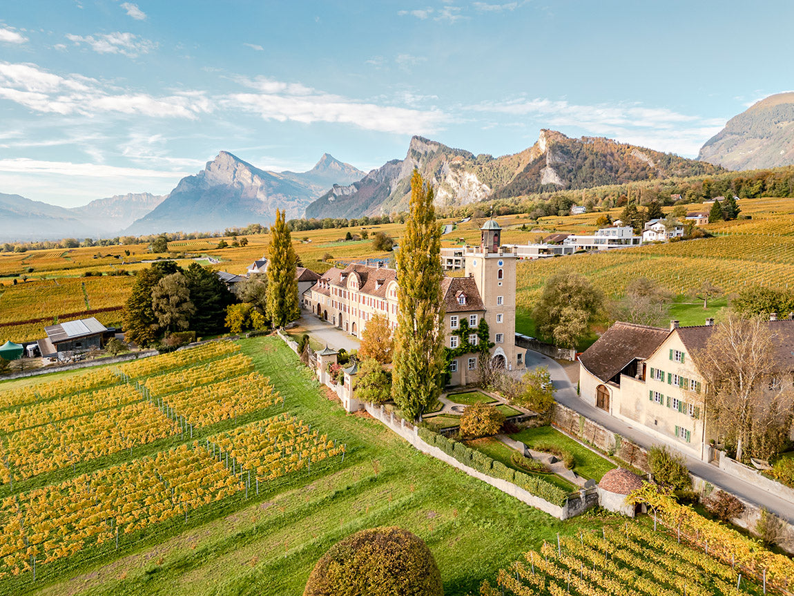 Weingut und Weinberge von St. Jodern Kellerei