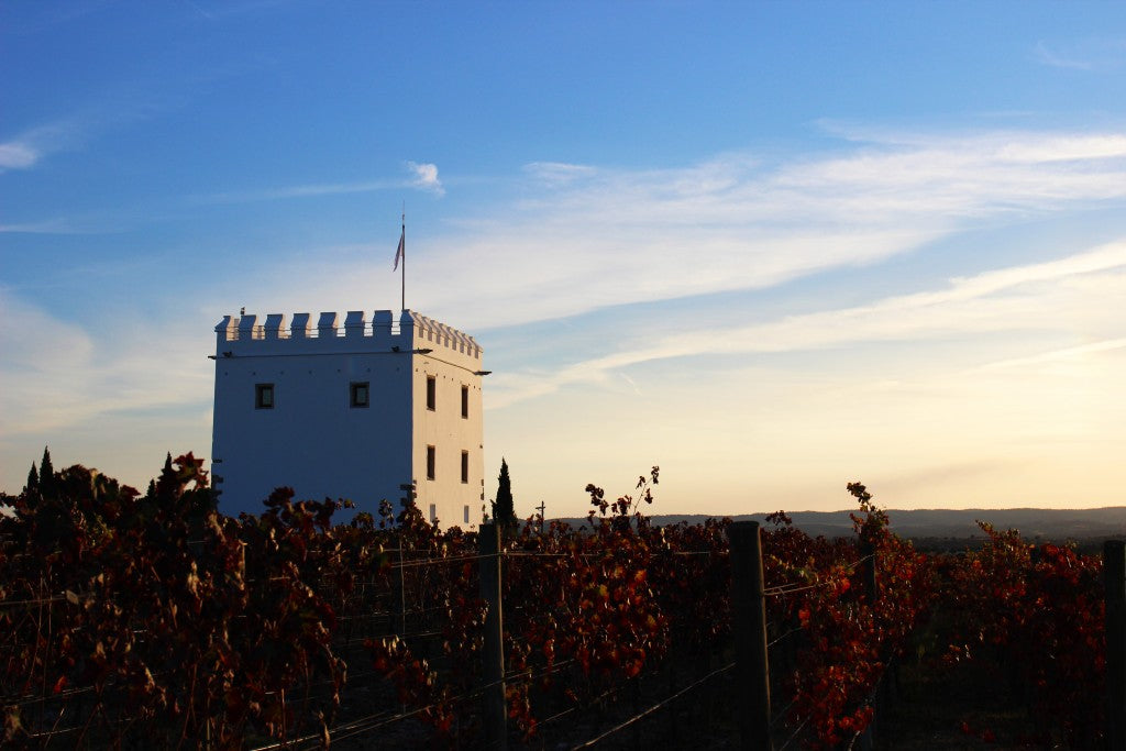 Esporão Reserva Tinto Alentejo DOC