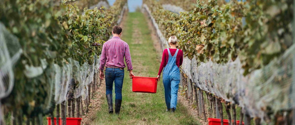 Spumante Cuvee Extra Dry "prodotto in Italia" De Bernard
